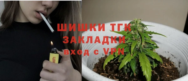 бошки Алексин