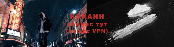 бошки Алексин