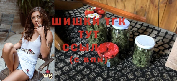бошки Алексин