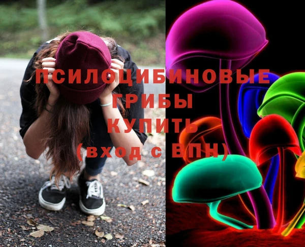 бошки Алексин