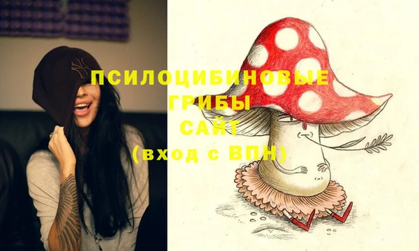 бутират Алексеевка