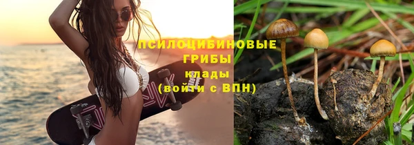 бошки Алексин